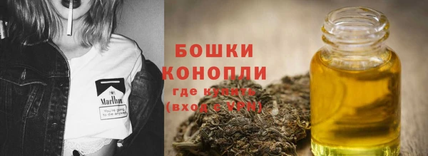 прущие крисы Надым