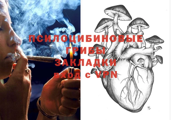 прущие крисы Надым