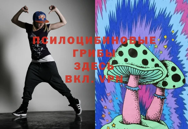 винт Наволоки