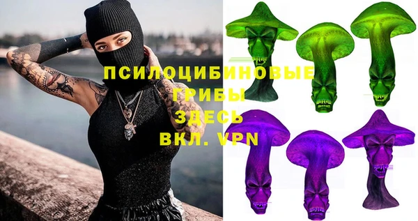 ПСИЛОЦИБИНОВЫЕ ГРИБЫ Михайловск