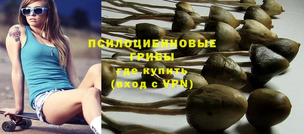 прущие крисы Надым