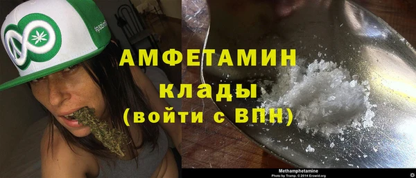 трава Анжеро-Судженск