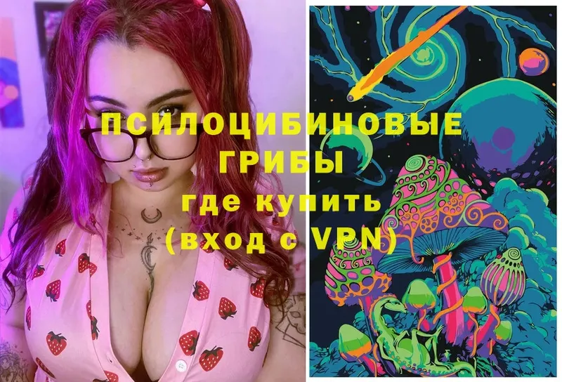 omg ссылки  Шуя  Псилоцибиновые грибы MAGIC MUSHROOMS  дарнет шоп 