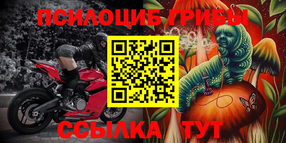 Галлюциногенные грибы мицелий  Шуя  Псилоцибиновые грибы мухоморы 