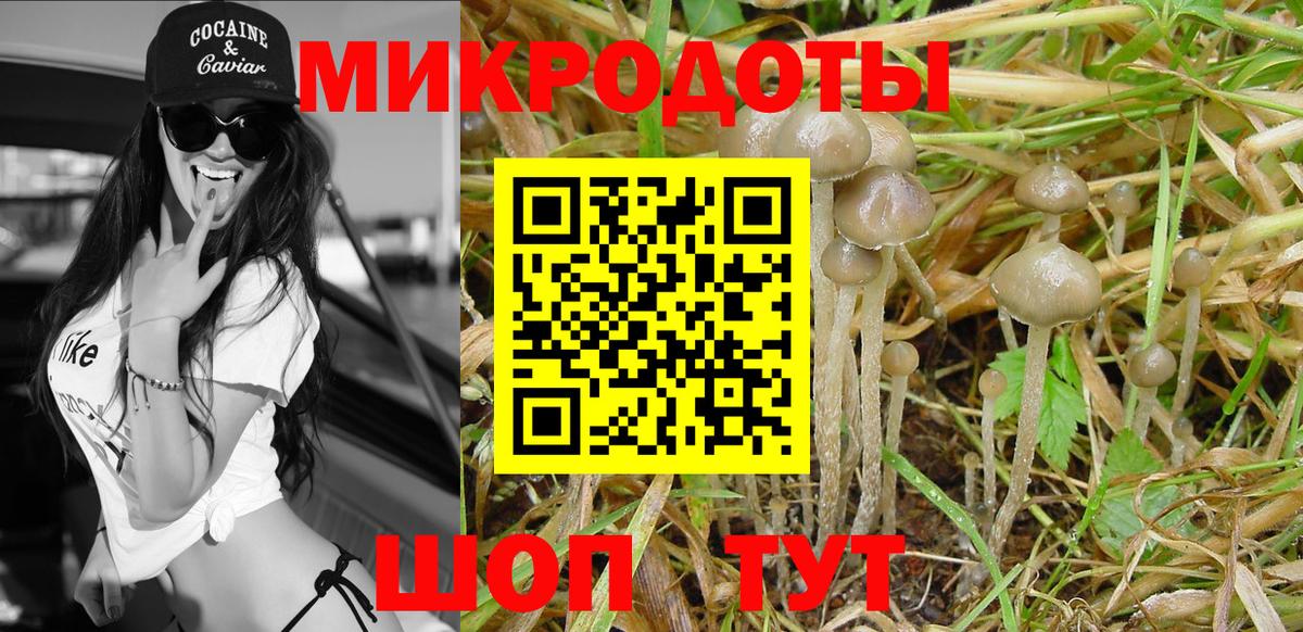 Псилоцибиновые грибы мухоморы Шуя