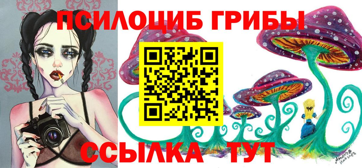 Шуя  Псилоцибиновые грибы мухоморы  Вход с VPN 