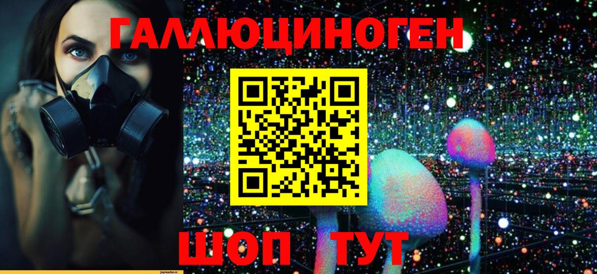 Канабис  Мефедрон   Шуя  Метамфетамин  Cocaine  Экстази  Вход с VPN  Где продают наркотики?  Гашиш 
