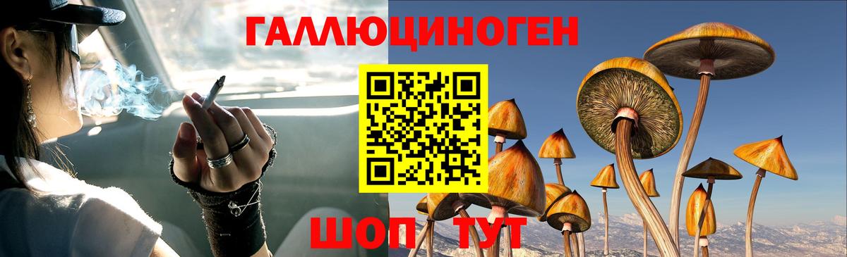 Псилоцибиновые грибы Cubensis Шуя